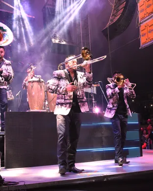 Banda MS