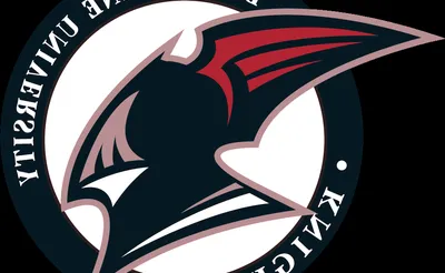 Bellarmine Knights 