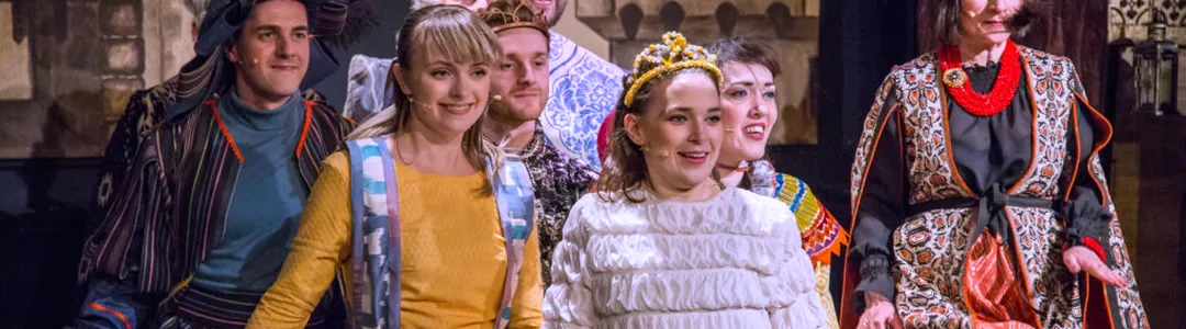 Once Upon a Mattress