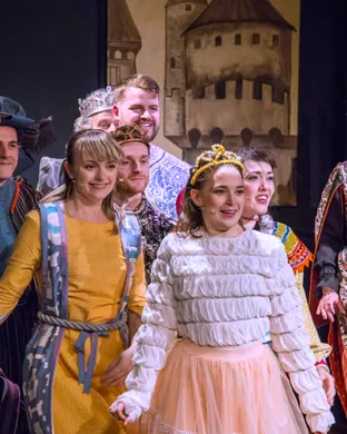 Once Upon a Mattress