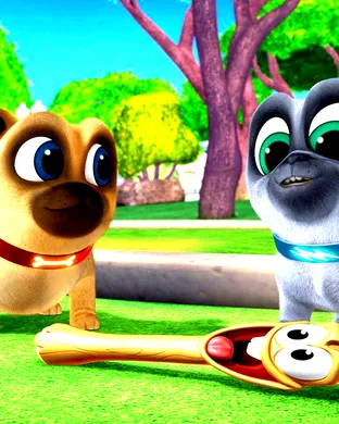 Puppy Pals Indianapolis
