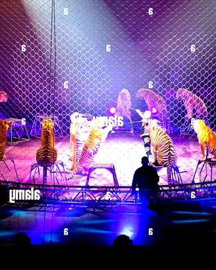 Ringling Bros. and Barnum & Bailey Circus Indianapolis