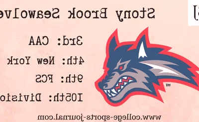 Stony Brook Seawolves Football