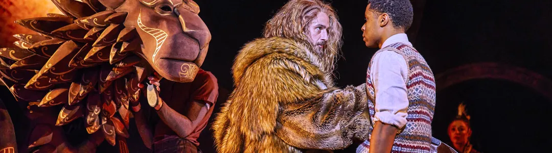 The Lion, The Witch And The Wardrobe 