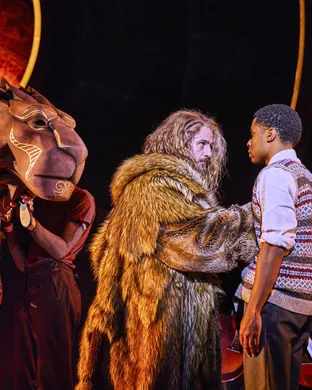 The Lion, The Witch And The Wardrobe 