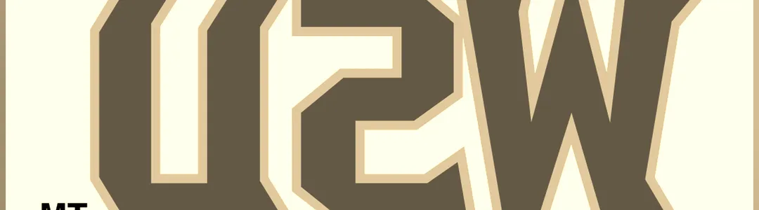 Wright State Raiders
