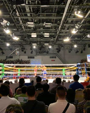 The Midwest Boxing Showcase